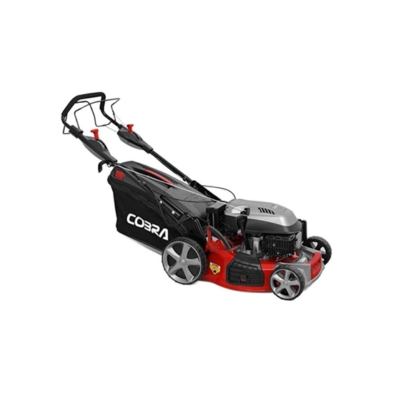 MX484SPCE 19'' Petrol Powered Lawnmower